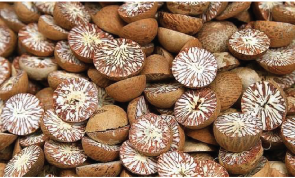 1583914021-Betel nutLanding