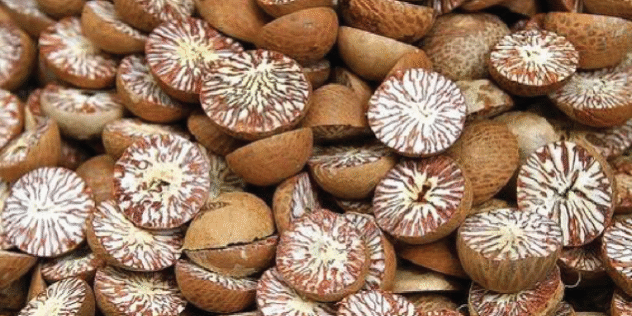 1583914021-Betel nutLanding
