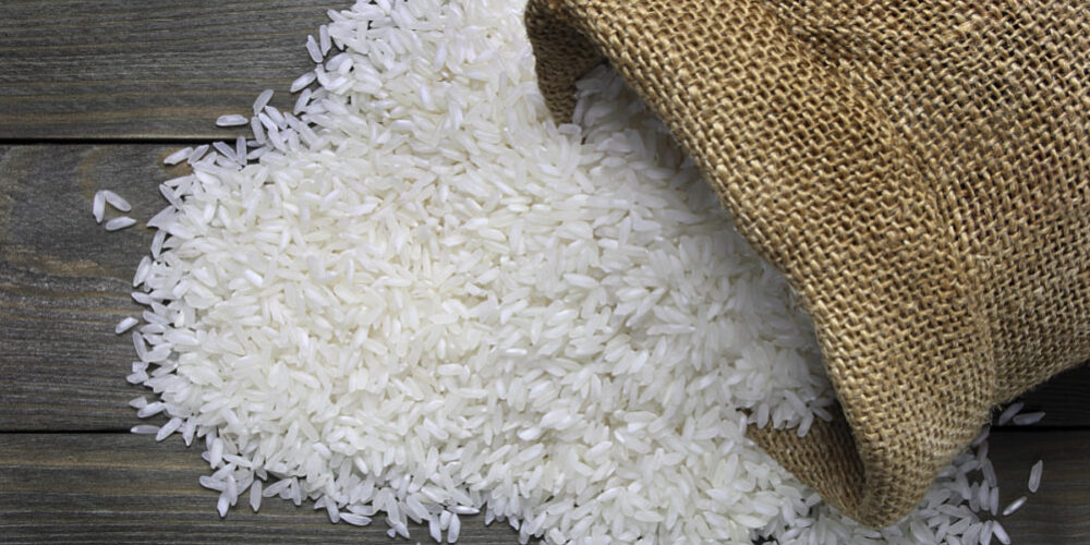 Rice_AdobeStock_64819529_E
